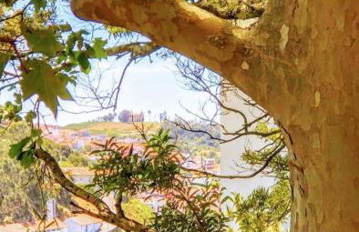 Arrábida House - Foto 38