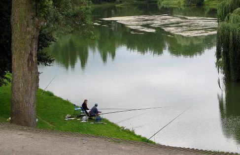 Arina & Julien Peronne Centre - Foto 43