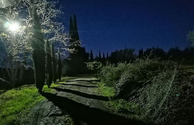 Podere Campovecchio - Foto 35