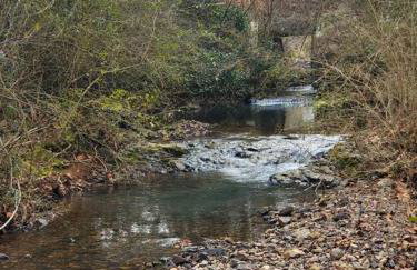 JB's-Getaway in the mountains with trails and more - Foto 12