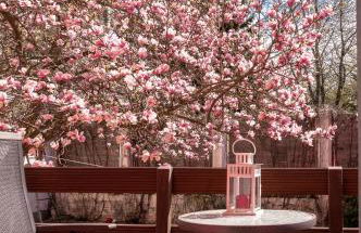 Tarata Haus - Foto 26