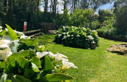 Re-imagined Stone Barns in the Country Near the Coast - Foto 52