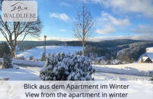 Exklusives 5-Sterne Apartment Waldliebe mit Indoor-Pool, Sauna, top Lage und Ausblick in die Natur, Hunde willkommen - Foto 45