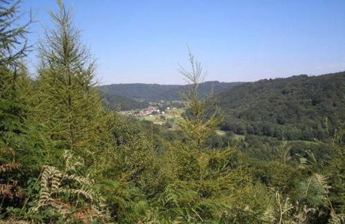 Gîte paisible dans ancienne ferme comtoise avec animaux acceptés - FR-1-583-416 - Foto 30