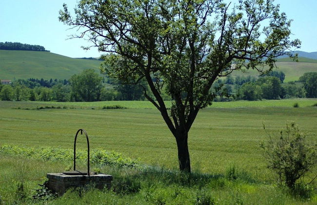 Verdidea - Casalunga - Foto 27