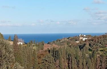 Andros Trecking Paradise Holiday Cottage by "elite" - Foto 36