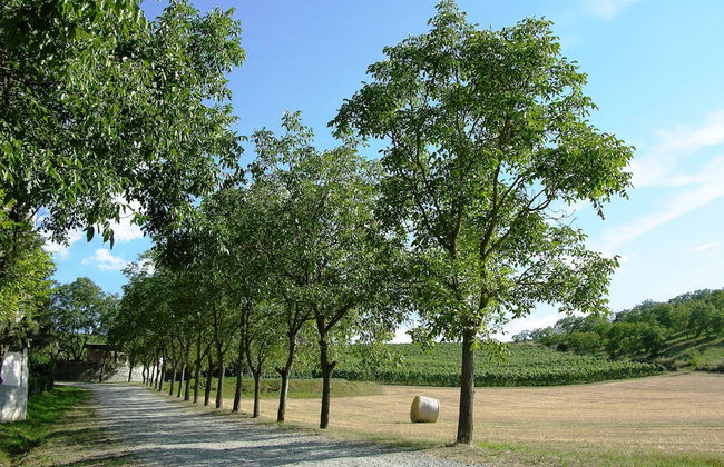 Agriturismo La Mussia - Foto 38