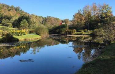 Catskill Cabin, Cool Apartment, 2nd Floor - Photo 37