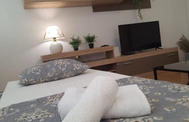 Apartment Banovac - Foto 8