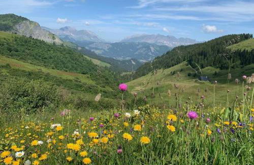 Charming Bright Spacious Village Walk to lift Hike - Foto 11