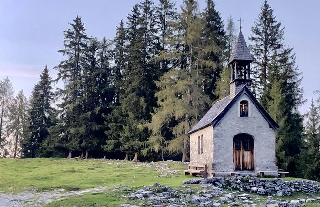 Gästehaus Bergwinkl - Foto 25