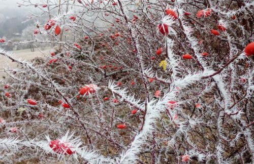 Ferienwohnung Körnerberg - Photo 13