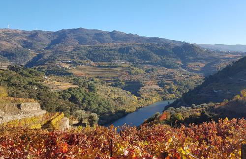 Quinta Barqueiros D'Ouro - Casa da Música - Photo 53