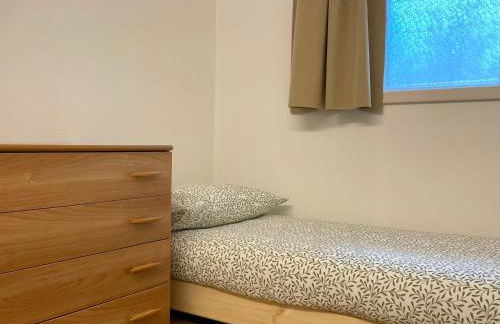 Piano terra con esterno privato vicino a Pinzolo - Foto 6