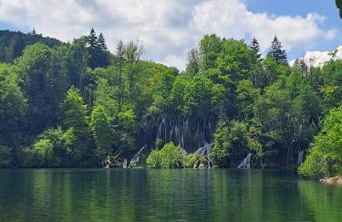 Bambi Forest House - Photo 27