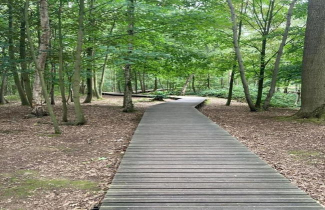 Country House in Poperinge Near WWI Sites - Photo 28