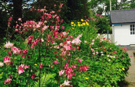 Pen Y Bont Cottage Llanuwchllyn Bala - Foto 44