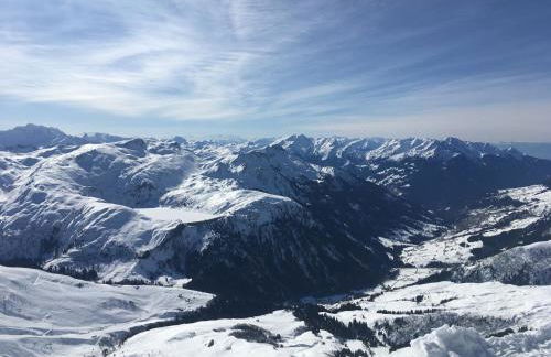 les Cimes d'Or Mont blanc - Photo 33