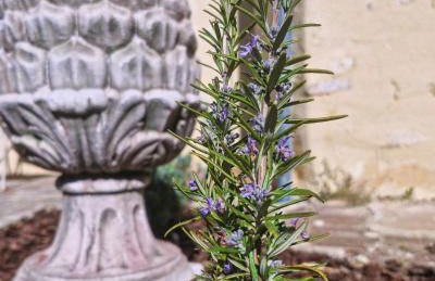 Casa Pertica - Foto 45