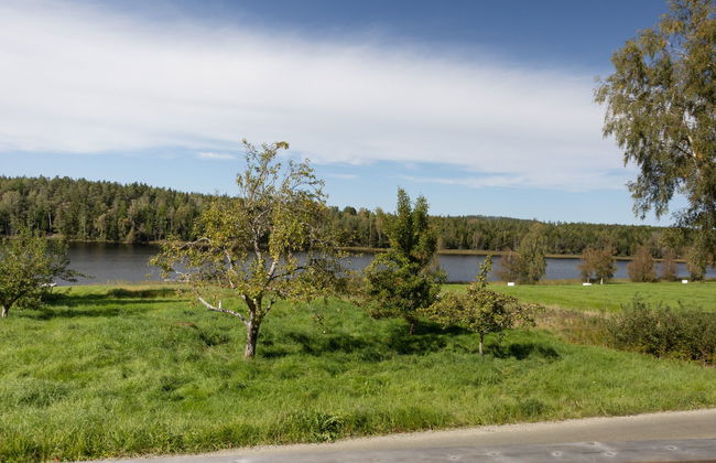 1 bedroom House in Färgelanda with garden - Photo 39