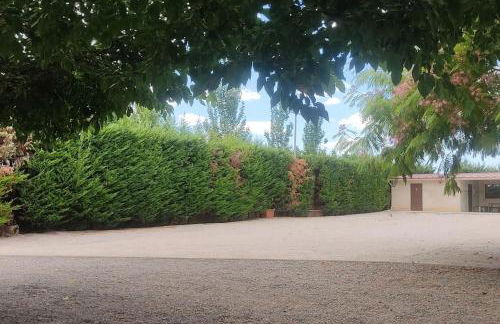 Finca El Pilar - Foto 22