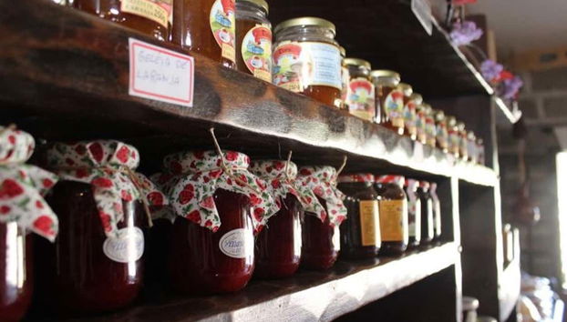 São José dos Pinhais Wine Tour - Foto 4