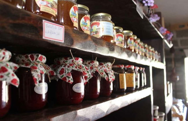 Tour del vino a São José dos Pinhais - Foto 4