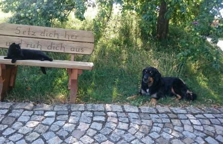 Ferienwohnung Hägelhof - Foto 36