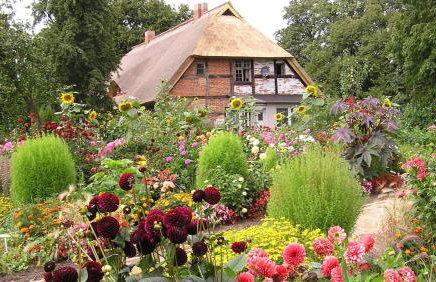 Ferienwohnung Birnengarten am Pfarrgarten Starkow - Foto 17