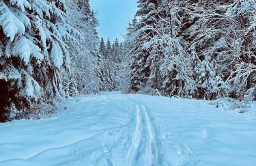 Haus Jenni im Schwarzwald, 3,5-Zimmer, große Terrasse - Foto 70