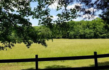 Stylish Tiny House for Glamping in South Carolina - Foto 12