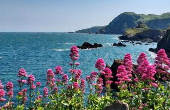 Dog friendly rural retreat with countryside views - Foto 35