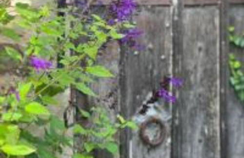 Tudor Romance- a historic manor house for holiday and corporate stays - Foto 50