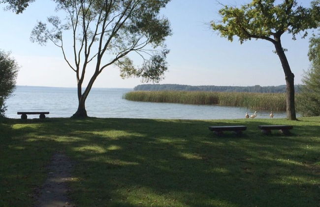 Langheinrich Comfortable Holiday Residence - Foto 23