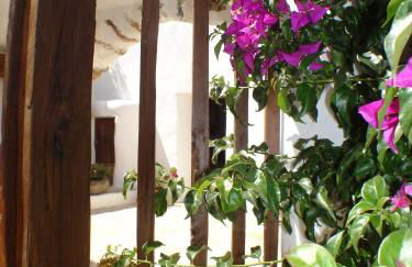 Can Pardal - Foto 11