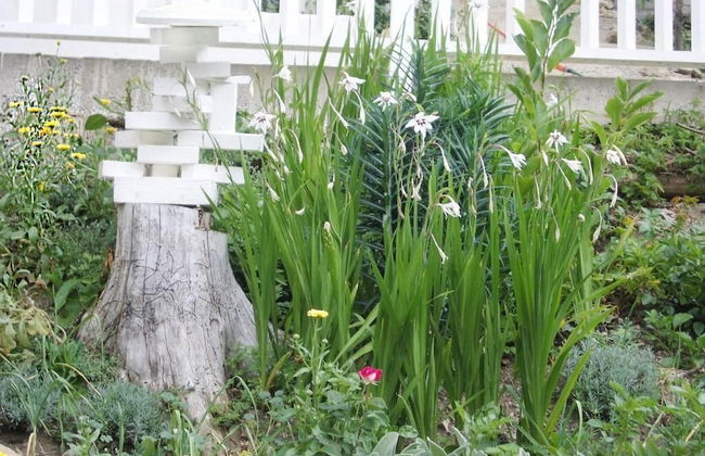 Ferienhaus BLACK & WHITE - Photo 54