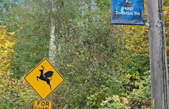 Magical Retreat at the Enchanted Vashon Castle - Foto 48