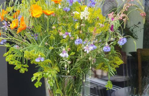 Alb - Lotte - Foto 16