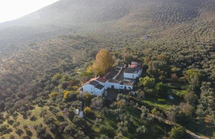 Cortijo San Julián - Foto 51