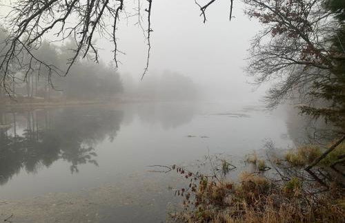 New Listing 2BR/2BA on Trout Lake HotTub & Firepit - Foto 48