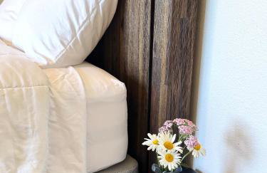 Touch of Alaska Volcano Vista - Foto 19