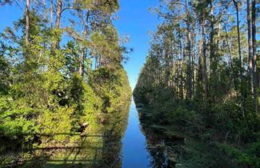 Tranquility Home near Beaches - Foto 11