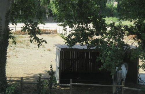 Mas Le Nathakassou - Foto 48