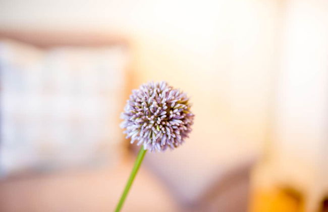 Gästehaus C.h.berres - Foto 14