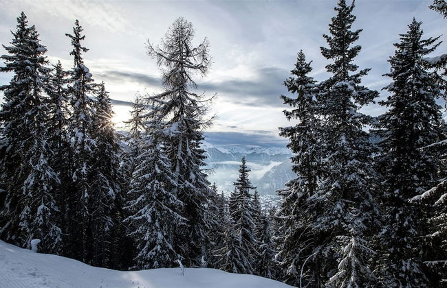 Chalet in Binn Near Forest & Scenic Valley - Foto 29