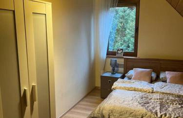 Siedlisko Musialove nad jeziorem 8 osob - Foto 48