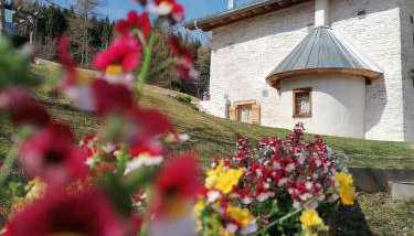 Maso Stella - Foto 2