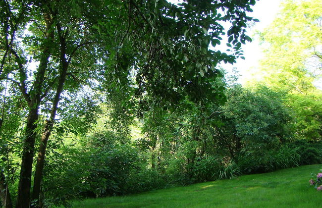 Mikin dol Baranja Country House - Foto 19