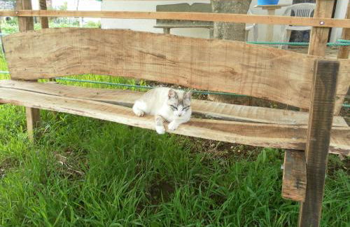 Retiro Da Avo Lídia - Turismo Rural - Foto 36