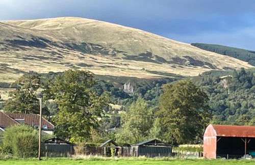 Thistle Lodge - Foto 6